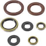 Vertex Oil Seal Set