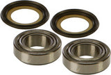 All Balls Steering Bearing/seal Kit